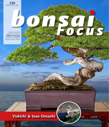 Bonsai Focus N°126 – Novembre-Décembre 2022